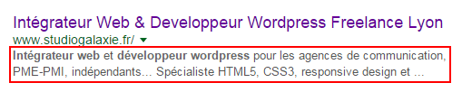 seo-description