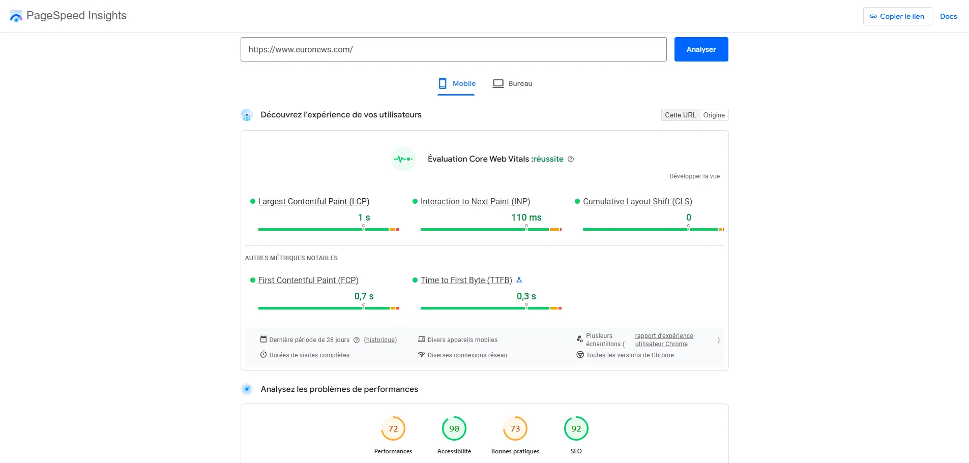 Capture PageSpeed Insights démontrant l'optimisation web performance réalisée sur Euronews